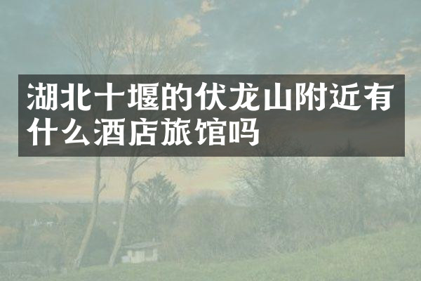湖北十堰的伏龙山附近有什么酒店旅馆吗