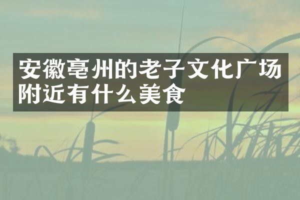 安徽亳州的老子文化广场附近有什么美食