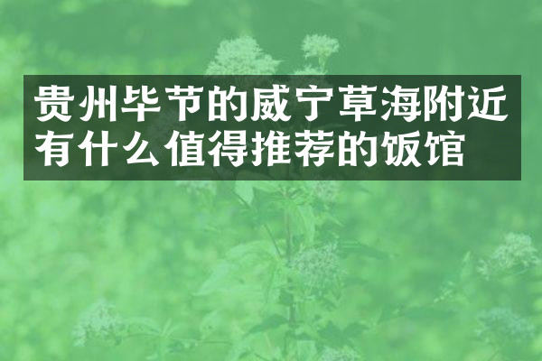 贵州毕节的威宁草海附近有什么值得推荐的饭馆吗