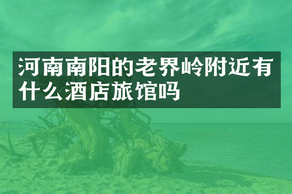 河南南阳的老界岭附近有什么酒店旅馆吗