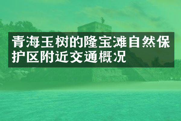 青海玉树的隆宝滩自然保护区附近交通概况
