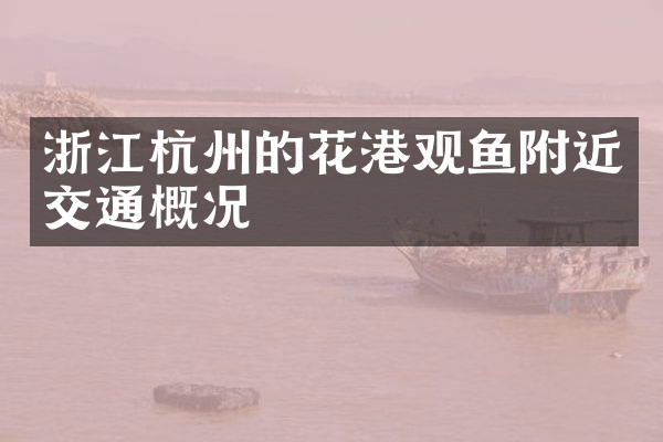 浙江杭州的花港观鱼附近交通概况
