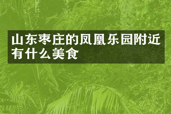 山东枣庄的凤凰乐园附近有什么美食