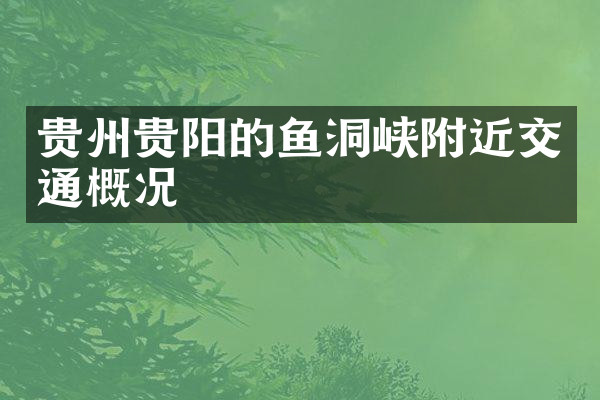 贵州贵阳的鱼洞峡附近交通概况