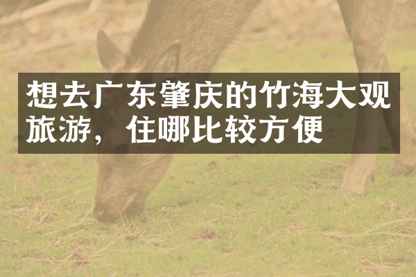 想去广东肇庆的竹海大观旅游，住哪比较方便