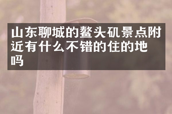 山东聊城的鳌头矶景点附近有什么不错的住的地方吗