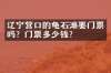 辽宁营口的龟石滩要门票吗？门票多少钱？