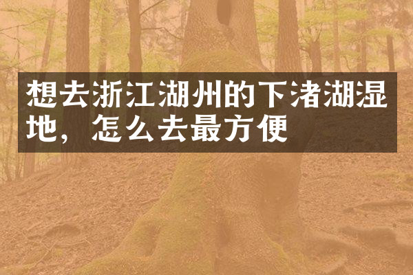 想去浙江湖州的下渚湖湿地，怎么去最方便