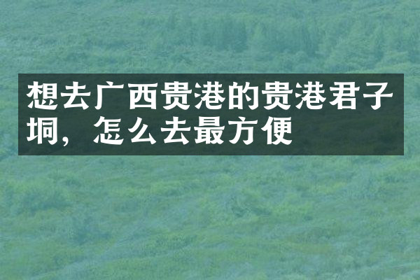 想去广西贵港的贵港君子垌，怎么去最方便