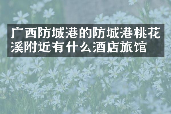 广西防城港的防城港桃花溪附近有什么酒店旅馆吗