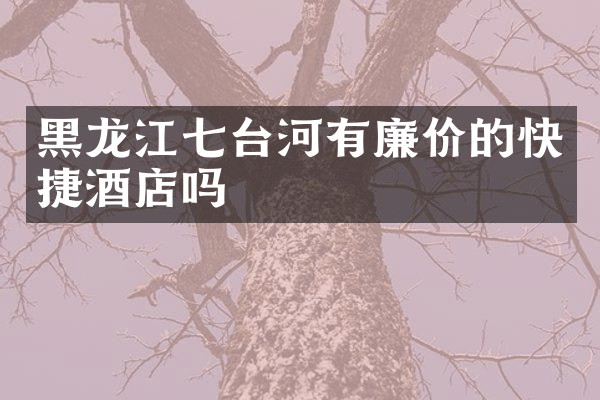 黑龙江七台河有廉价的快捷酒店吗