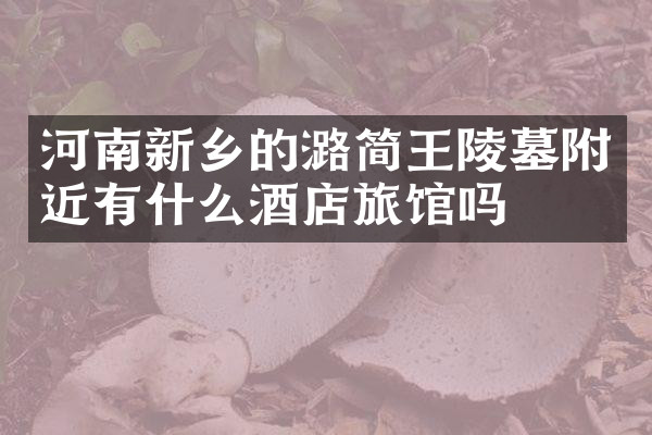 河南新乡的潞简王陵墓附近有什么酒店旅馆吗