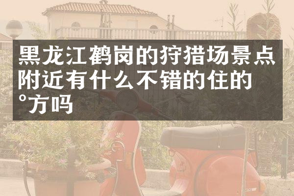 黑龙江鹤岗的狩猎场景点附近有什么不错的住的地方吗