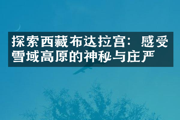 探索西藏布达拉宫：感受雪域高原的神秘与庄严