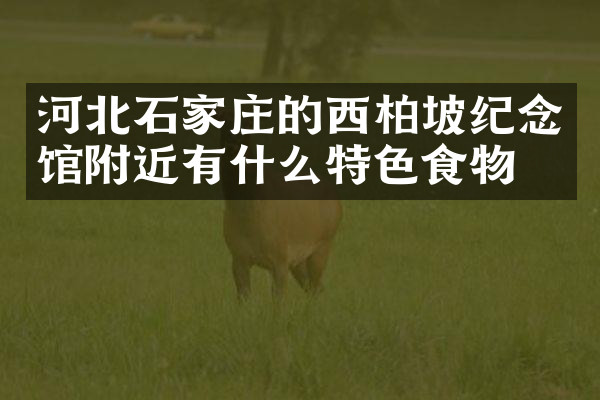 河北石家庄的西柏坡纪念馆附近有什么特色食物吗
