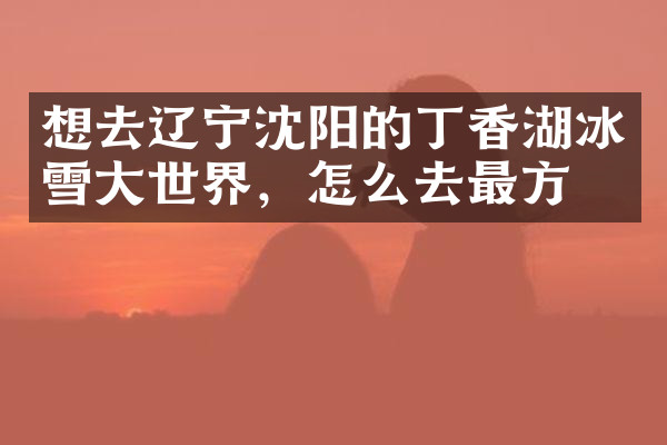 想去辽宁沈阳的丁香湖冰雪大世界，怎么去最方便