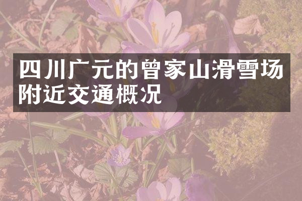 四川广元的曾家山滑雪场附近交通概况
