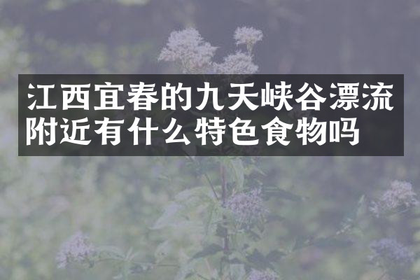 江西宜春的九天峡谷漂流附近有什么特色食物吗