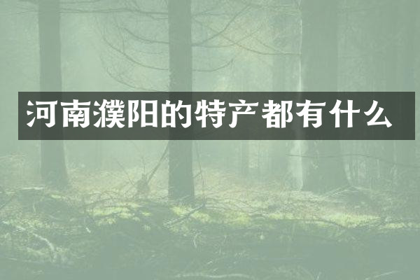 河南濮阳的特产都有什么