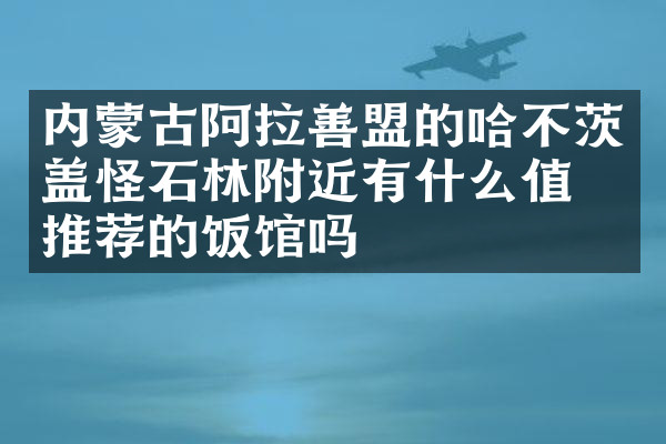 内蒙古阿拉善盟的哈不茨盖怪石林附近有什么值得推荐的饭馆吗