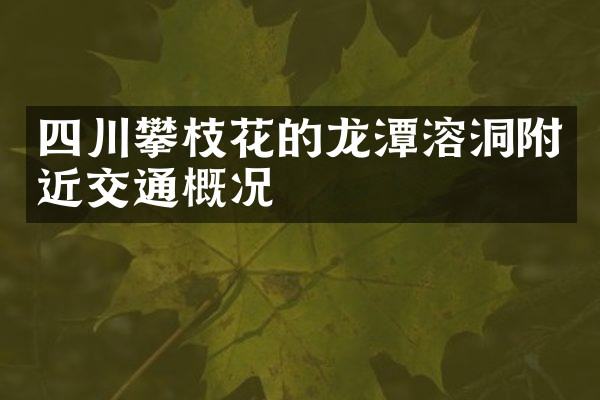 四川攀枝花的龙潭溶洞附近交通概况