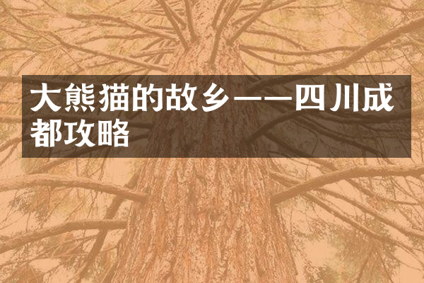 大熊猫的故乡——四川成都攻略