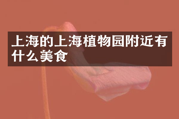 上海的上海植物园附近有什么美食