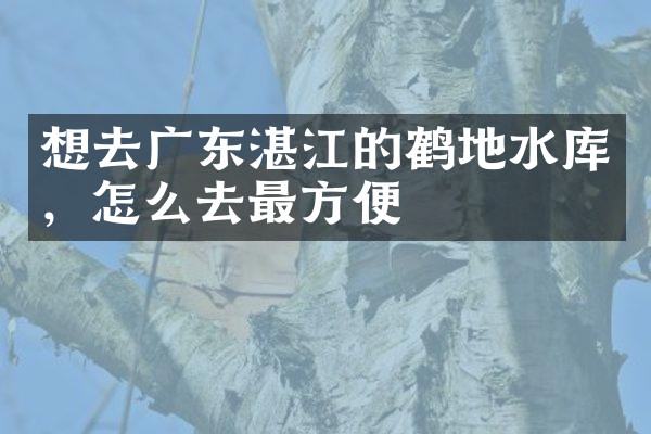 想去广东湛江的鹤地水库，怎么去最方便
