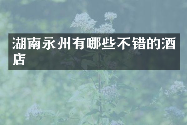 湖南永州有哪些不错的酒店