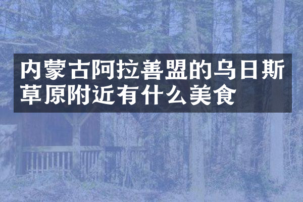 内蒙古阿拉善盟的乌日斯草原附近有什么美食