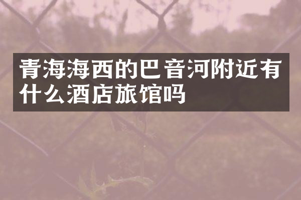 青海海西的巴音河附近有什么酒店旅馆吗