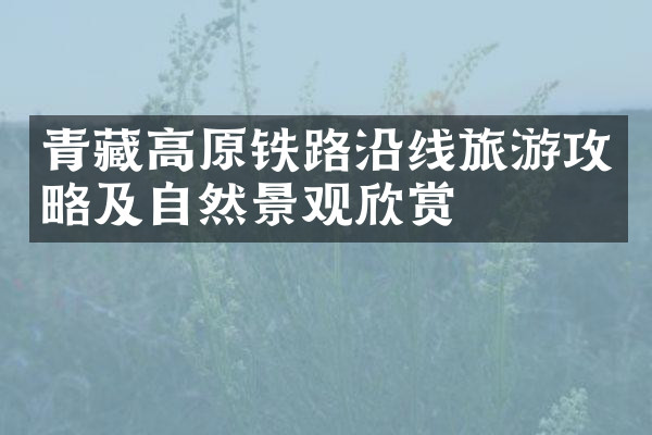 青藏高原铁路沿线旅游攻略及自然景观欣赏