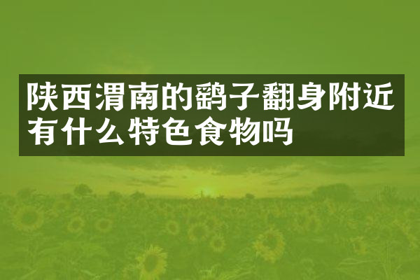 陕西渭南的鹞子翻身附近有什么特色食物吗