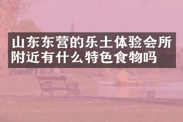 山东东营的乐土体验会所附近有什么特色食物吗
