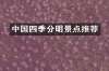 中国四季分明景点推荐