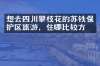想去四川攀枝花的苏铁保护区旅游，住哪比较方便