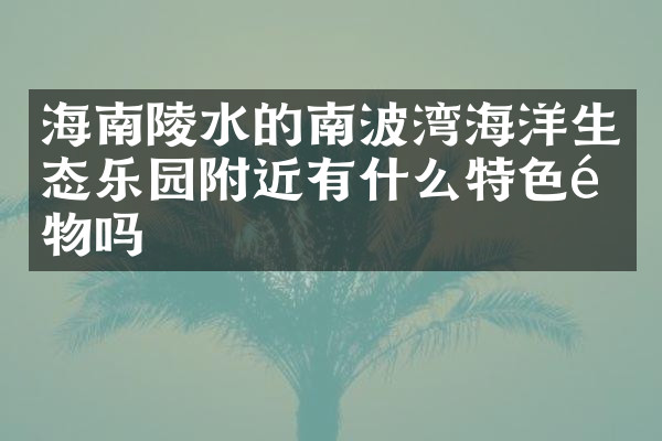 海南陵水的南波湾海洋生态乐园附近有什么特色食物吗