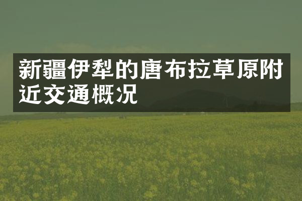 新疆伊犁的唐布拉草原附近交通概况