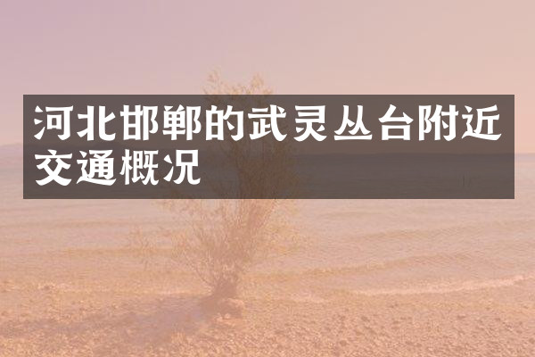 河北邯郸的武灵丛台附近交通概况