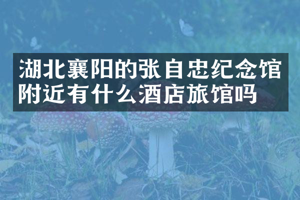 湖北襄阳的张自忠纪念馆附近有什么酒店旅馆吗