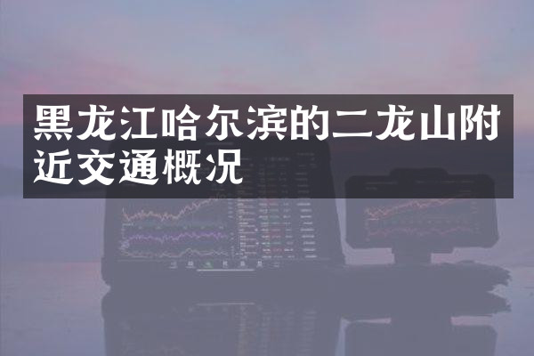 黑龙江哈尔滨的二龙山附近交通概况