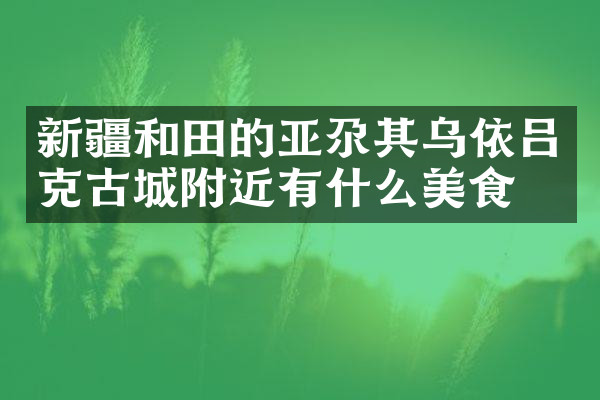 新疆和田的亚尕其乌依吕克古城附近有什么美食
