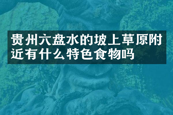 贵州六盘水的坡上草原附近有什么特色食物吗