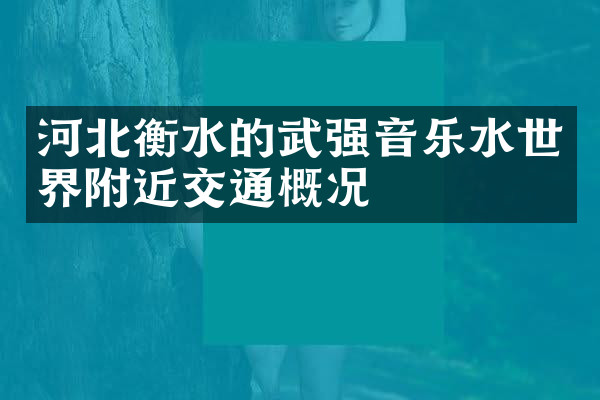 河北衡水的武强音乐水世界附近交通概况