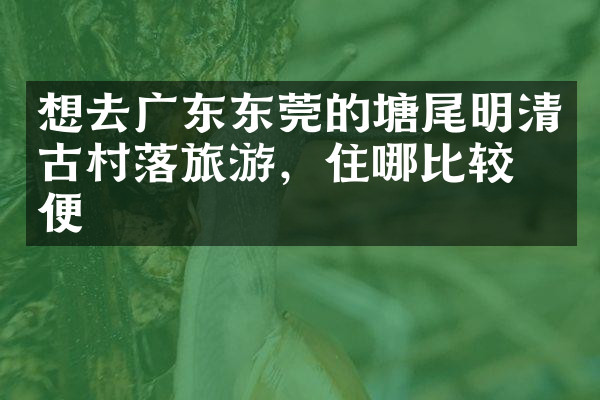 想去广东东莞的塘尾明清古村落旅游，住哪比较方便