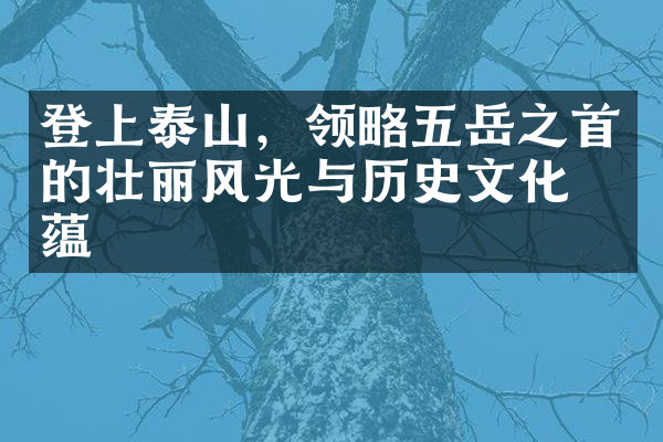 登上泰山，领略五岳之首的壮丽风光与历史文化底蕴