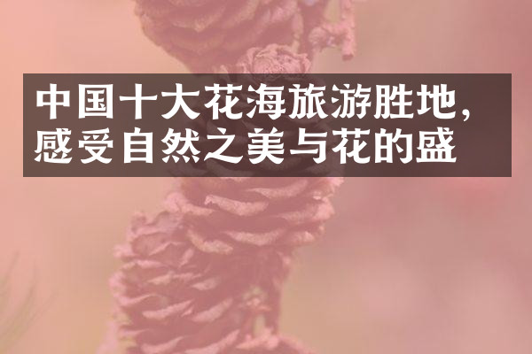 中国十大花海旅游胜地，感受自然之美与花的盛宴
