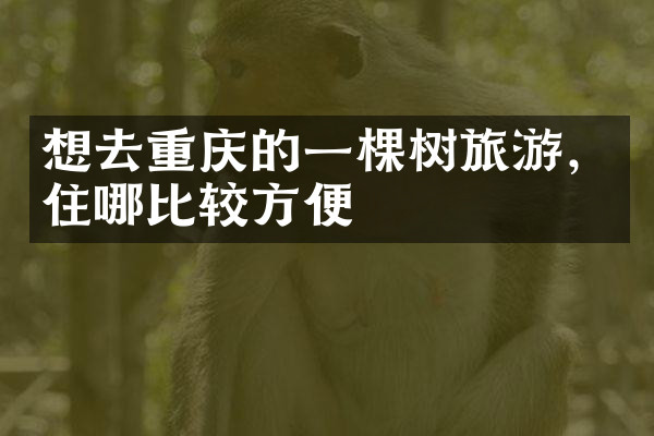想去重庆的一棵树旅游，住哪比较方便