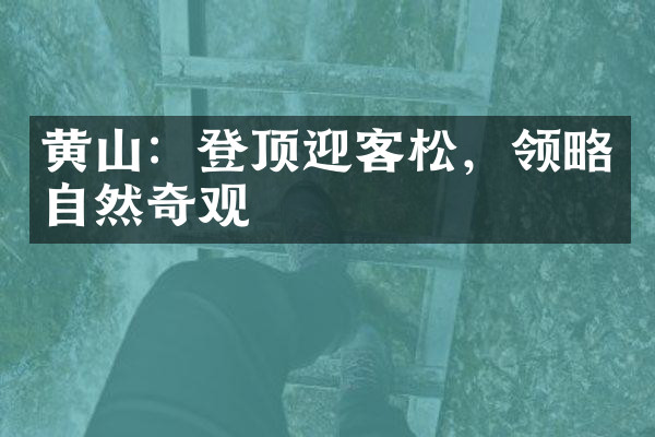 黄山：登顶迎客松，领略自然奇观