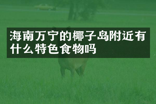 海南万宁的椰子岛附近有什么特色食物吗